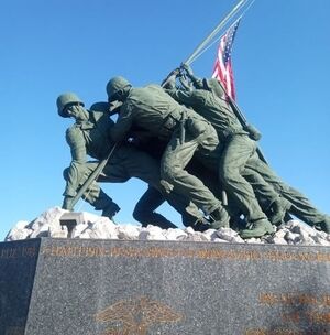 Meet your Posher, Sylvia